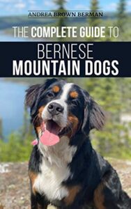 Are Bernese Mountain Dogs Good For Hiking