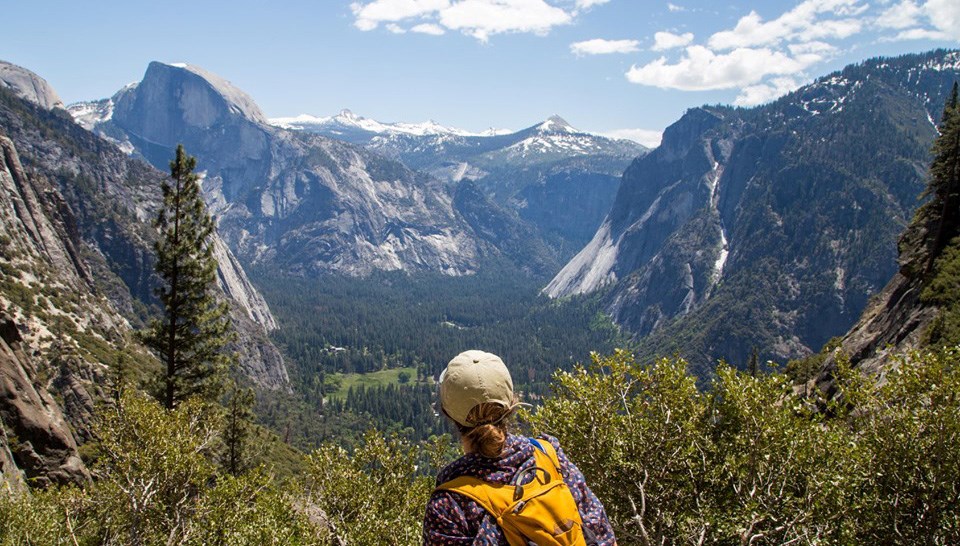 Best Hikes In Yosemite National Park