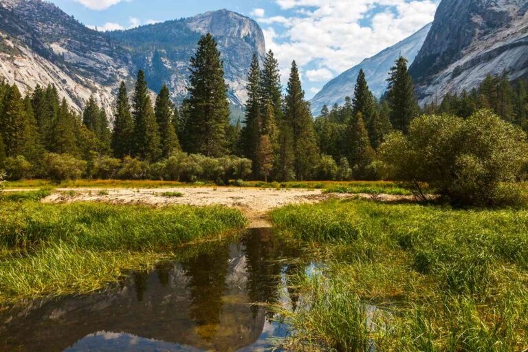 Best Time To Visit Yosemite National Park