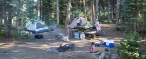 Can You Camp In Yellowstone National Park?