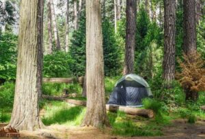 Can You Camp In Yosemite National Park?