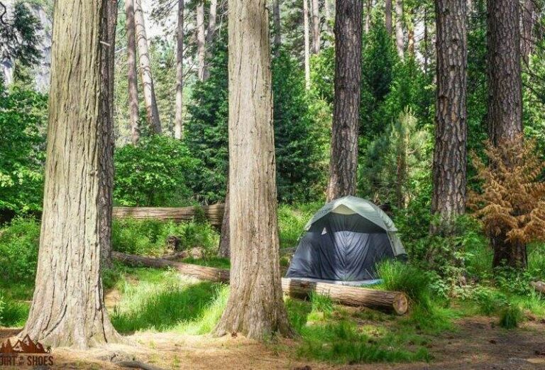 Can You Camp In Yosemite National Park?