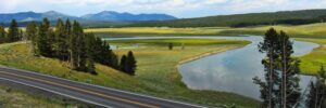 Can You Drive Through Yellowstone National Park?