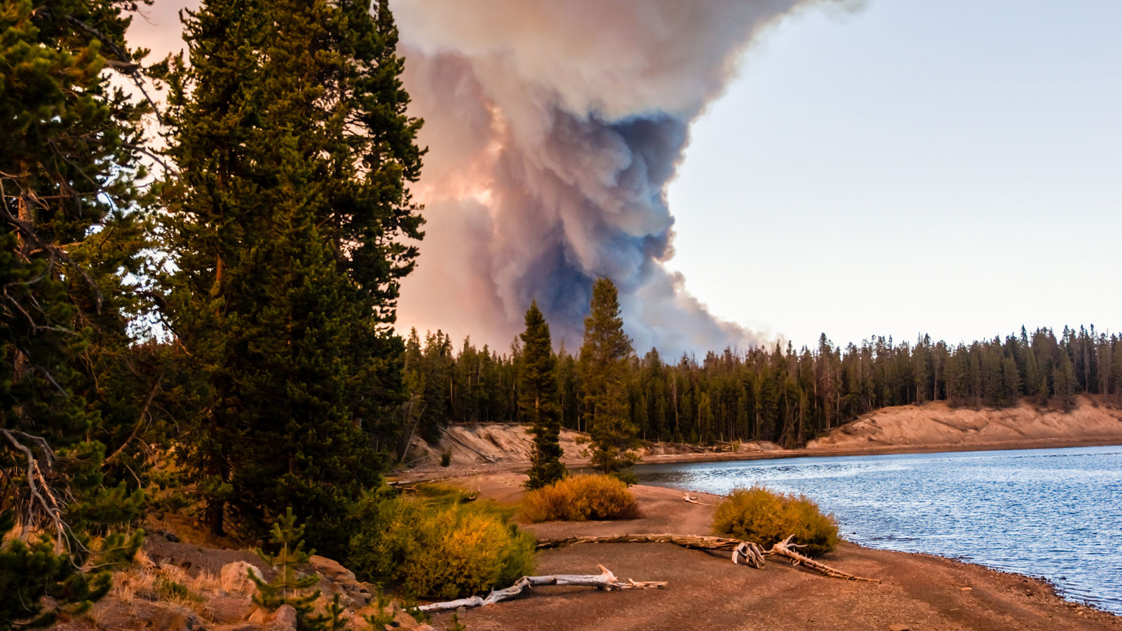 How Will Climate Change Affect Yellowstone National Park?